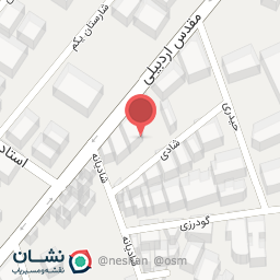 عکس دکتر سیده مریم موسوی