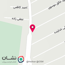 عکس استوک یدک علی