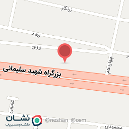 عکس دکتر مینا موحدی