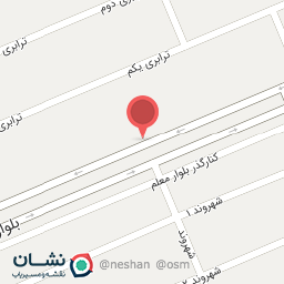 عکس پیتزا پانیذ