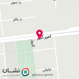 عکس پانسیون تخصصی گربه آنیلا