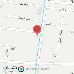 عکس رستوران نیوشا