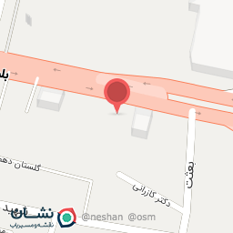 عکس فست فود شهرمزه