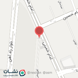 عکس مرغ ومیکو 