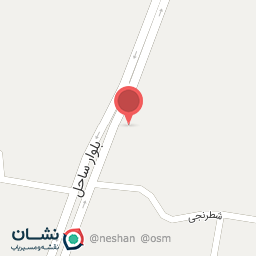 عکس پیتزا میثم