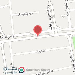 عکس کیف و کفش آپامه