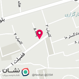 عکس تعمیر هواپز سرخ کن پلوپز بخارپز