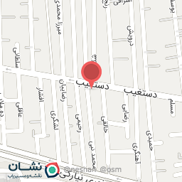 عکس فست فود شبنم