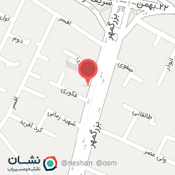 عکس دکتر نفیسه السادات محمودی