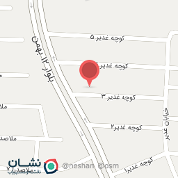 عکس تاکسی سرویس میهن