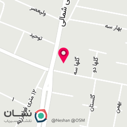 عکس رستوران ایتالیایی پیزونه