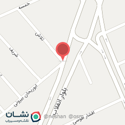 عکس پیتزا و فست فود