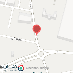 عکس دکتر شهلا اتفاق