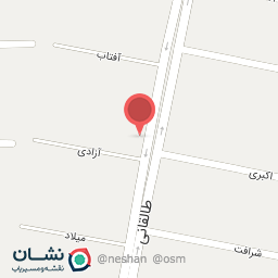 عکس کامی برگر