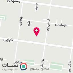 عکس کیف وکفش  پالند