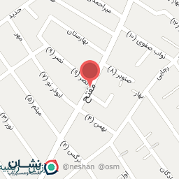 عکس کفش امیر (براتی)