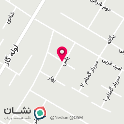 عکس تهیه غذا گیل بانو