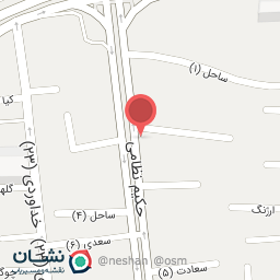 عکس لاستیک نصر