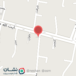 عکس کفش پرستو 