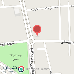 عکس گوشت دمس