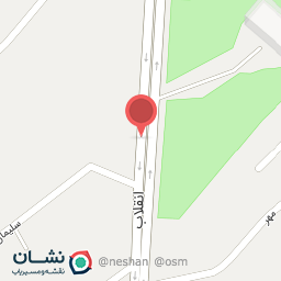 عکس پیتزا پاتوق