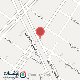 عکس پیتزا برگر رسول 