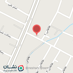 عکس فلافل مهدی 