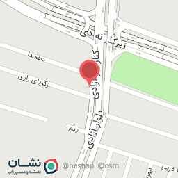 عکس دزدگیر پیام