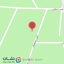 عکس قالیشویی دقت