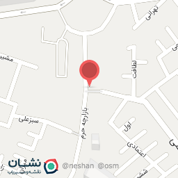 عکس کیف و کفش ملک احمدی 