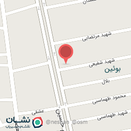 عکس پیتزا تمشک