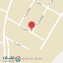 عکس پارسینا