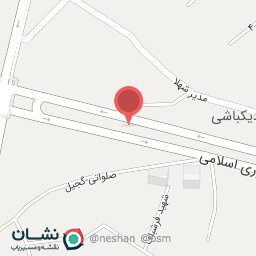 عکس فرش نادر تبریز