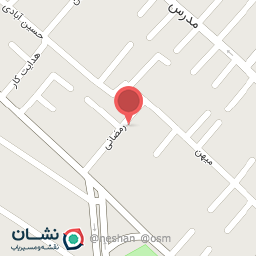 عکس نینجتسو استاد مهدی علیزاده