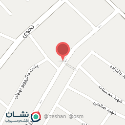 عکس فیزیوتراپی شهید بهروزی