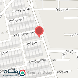 عکس فلافل شاهین شهر