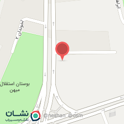 عکس پیتزا پامچال