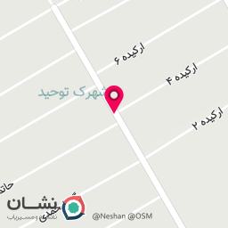 عکس کفش نیکان