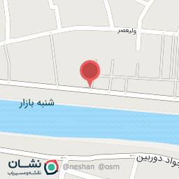 عکس تهیه غذای عمه خانم