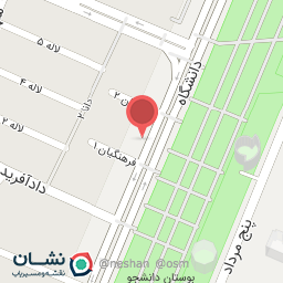 عکس پیتزا رومانو