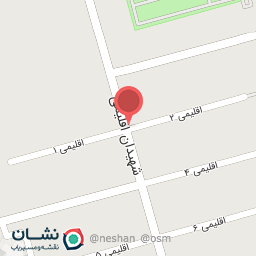 عکس برق خودرو علی