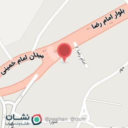 عکس پیتزا امید