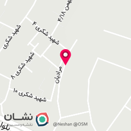 عکس شجاعی پروتئین