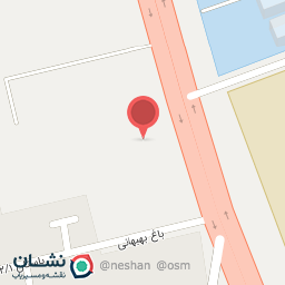 عکس پخش رز هلندی معینی