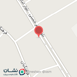 عکس پیتزا کاج