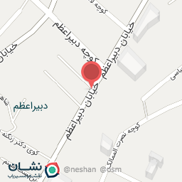 عکس کباب مخصوص دبیر اعظم 