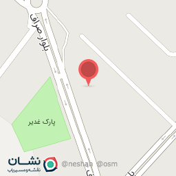 عکس فست فود علاویچ