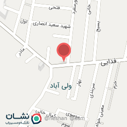 عکس سوپر میوه گلزار