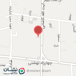 عکس کفش ملت 