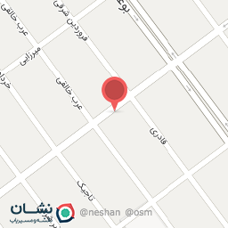 عکس الکتریکی شاکری